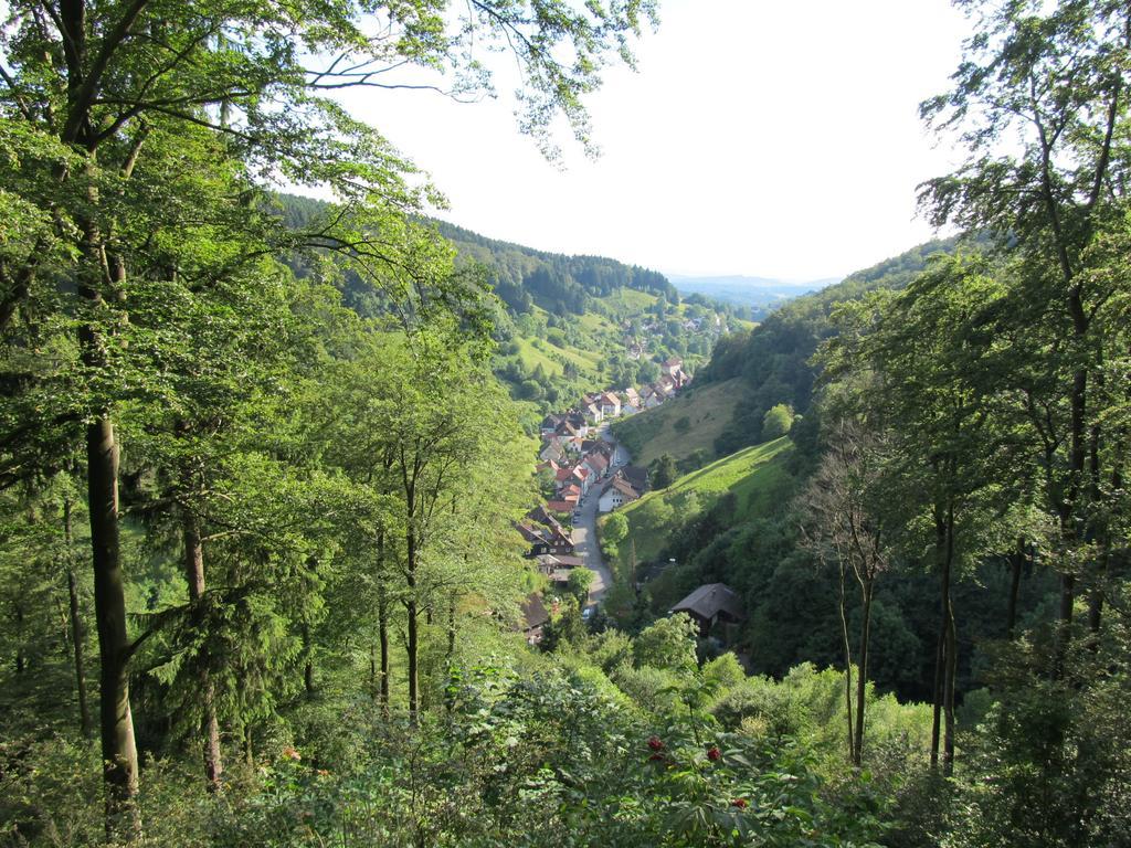 Osterode am Harz Hexenstieg House Lerbach 아파트 외부 사진